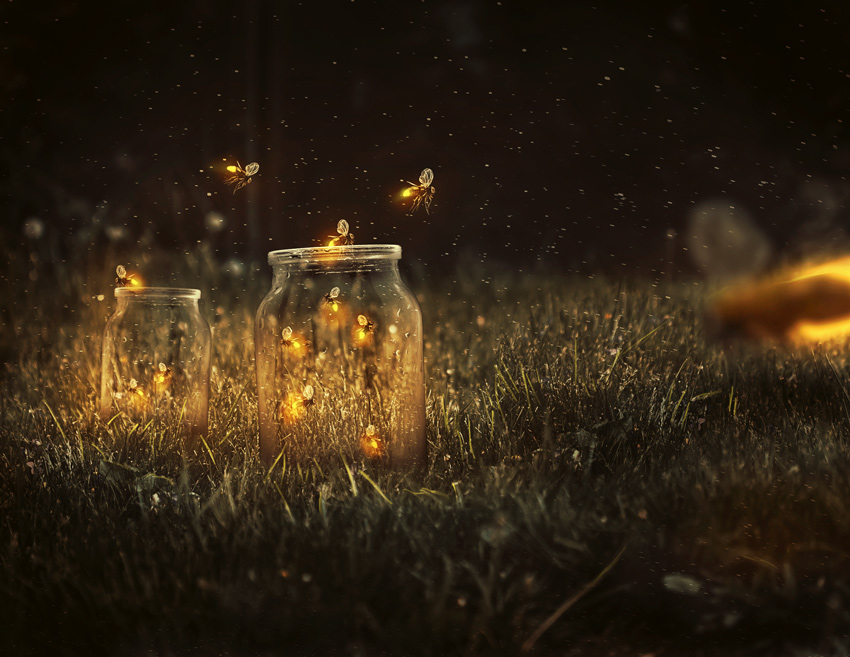 fireflies_final
